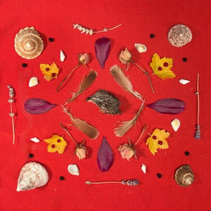 Album cover for Secret Family - Grouse Head Talisman on vinyl LP
