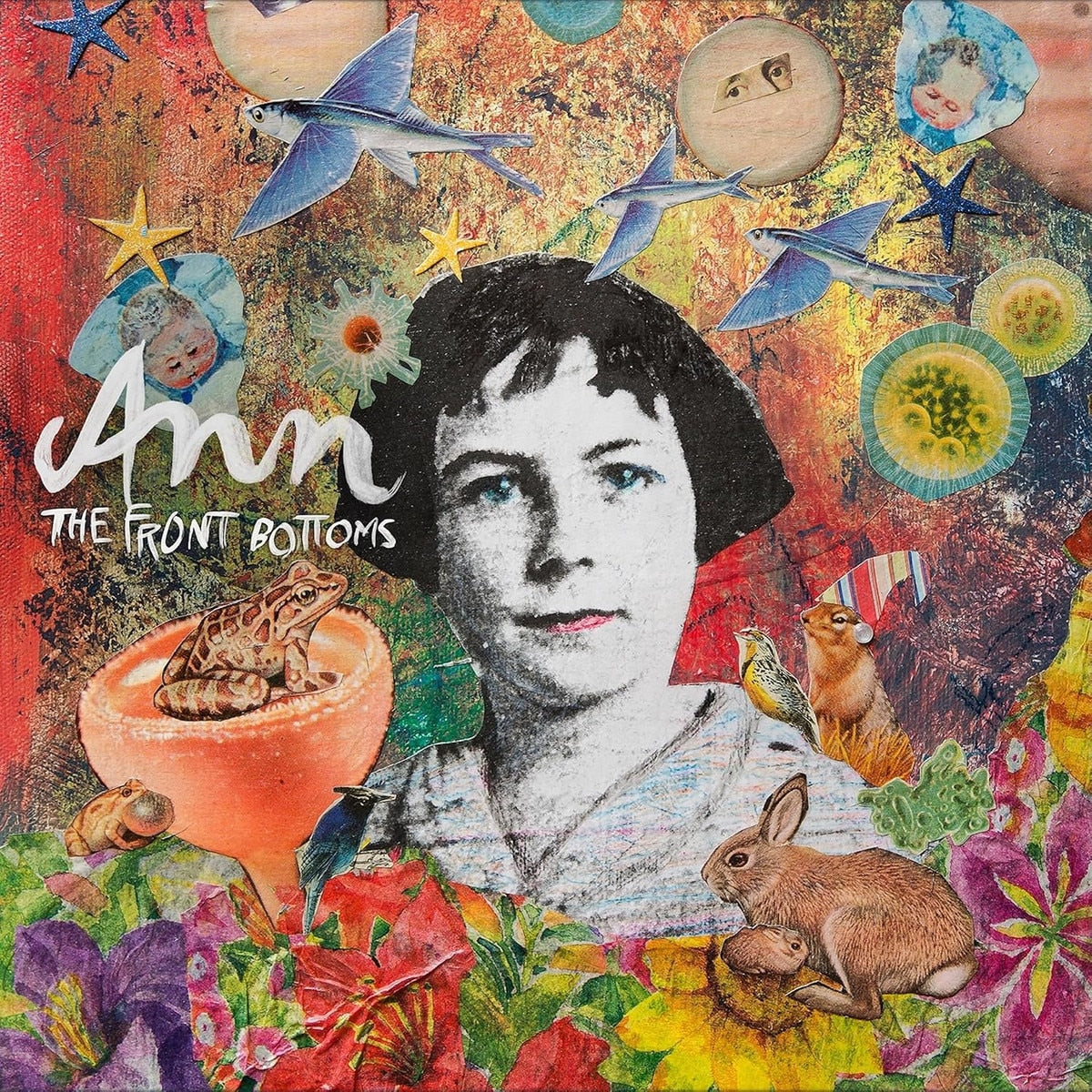 Ann [12"]