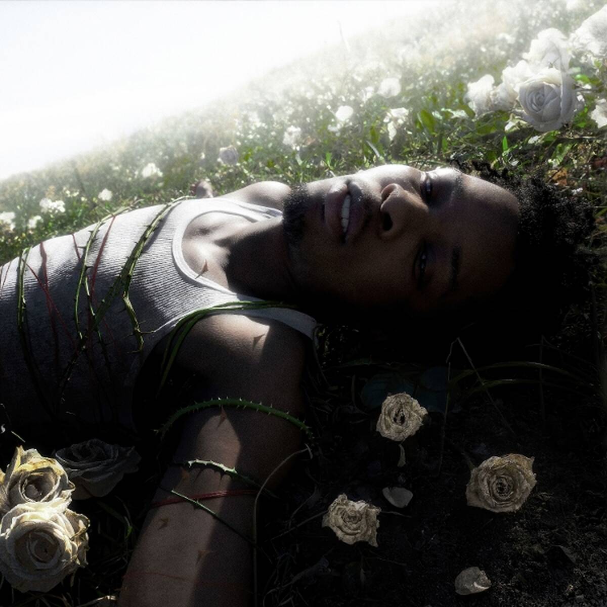 Withered [LP Pure Cloudy White Vinyl Signed Insert]