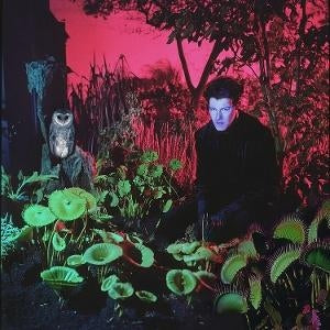 Tuinieren [LP]