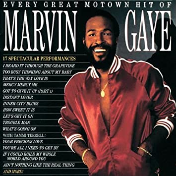 Marvin Gaye – Every Great Motown Hit of Marvin Gaye [LP] cover artwork