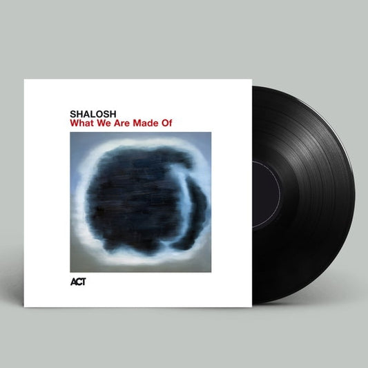 What We Are Made Of [LP]