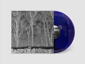 Sunshine And Balance Beams [LP] (Transparent Mix Boris Purple Colored Vinyl)