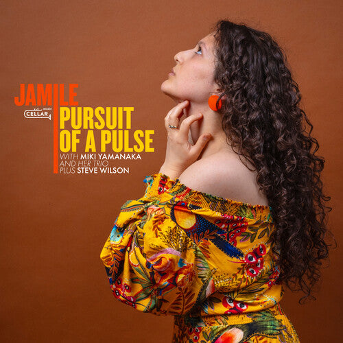 Pursuit Of A Pulse [LP] (Import)