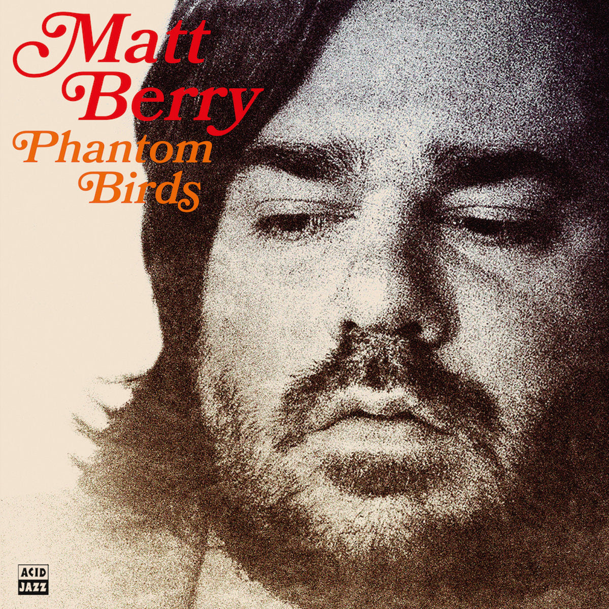 Matt Berry - Phantom Birds [LP]