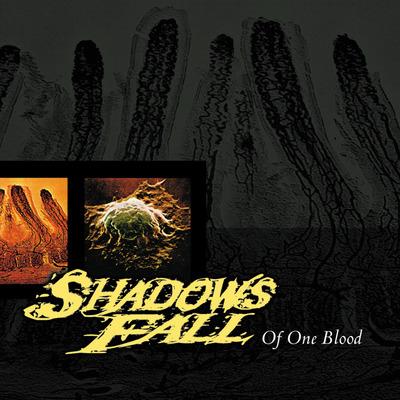 Shadows Fall - Of One Blood [LP]