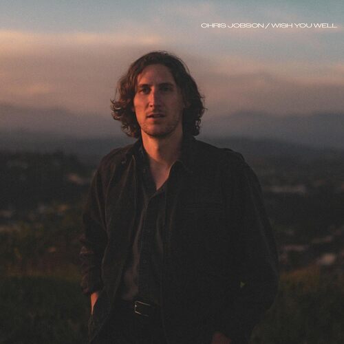 Wish You Well [LP] (import)