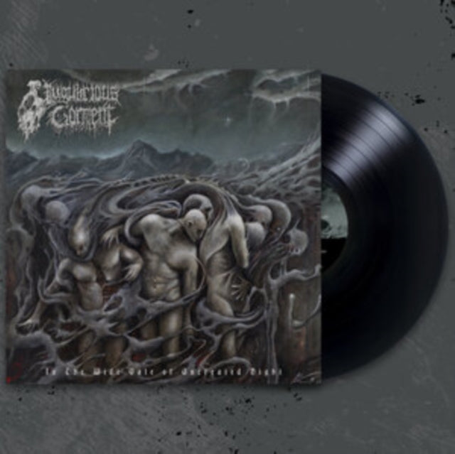 In The Wide Vale Of Uncreated Night [Vinyl]