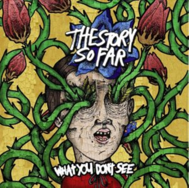 Album cover for The Story So Far - What You Don't See on Crayons Marble Vinyl LP