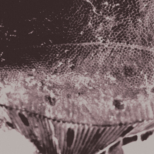 Flounder Maps [Vinyl]