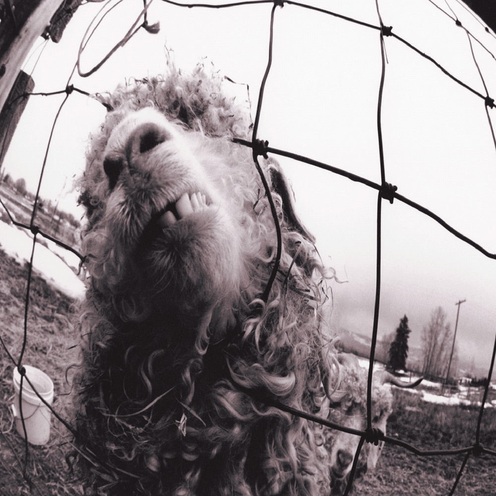 Pearl Jam - Vs. [180g LP]
