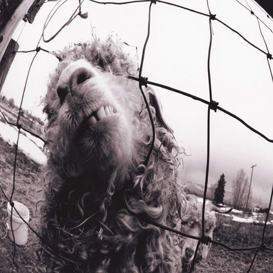 Pearl Jam – Vs. [180g LP] cover artwork