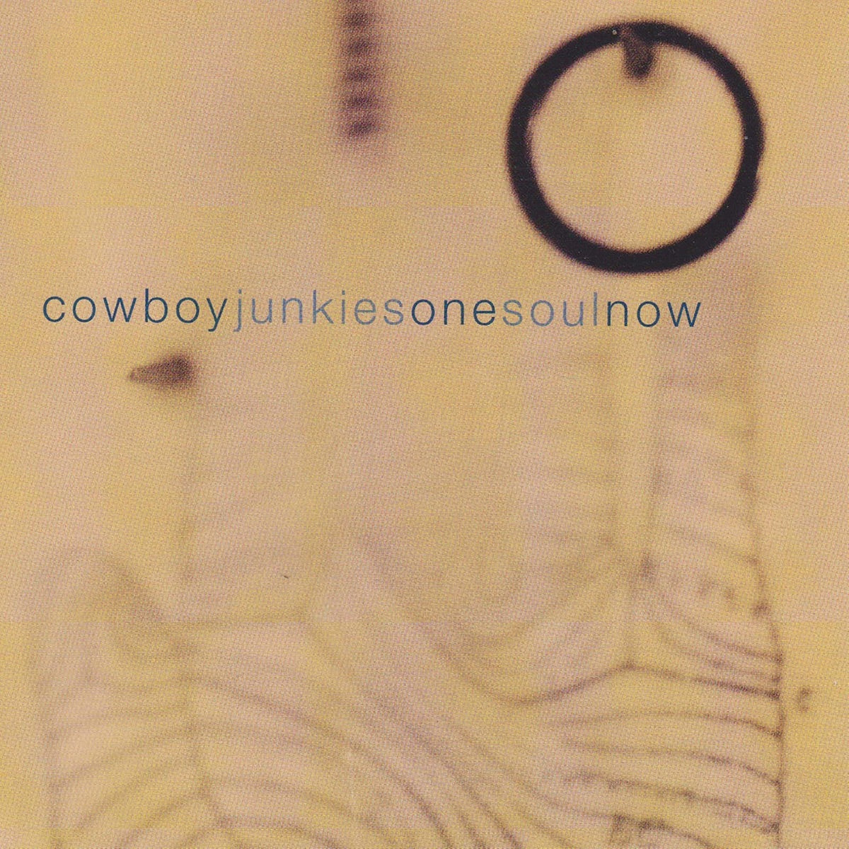 Cowboy Junkies - One Soul Now [CD]