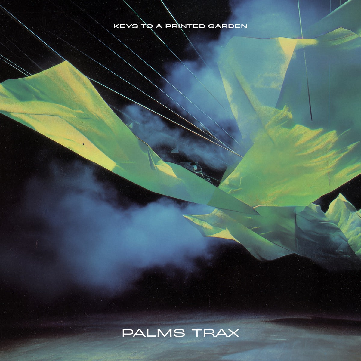 Palms Trax - Keys To A Printed Garden [12"]