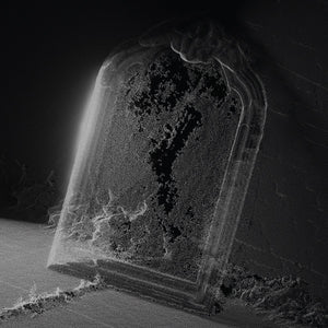 Visible Cloaks — Paradessence [LP] — product image