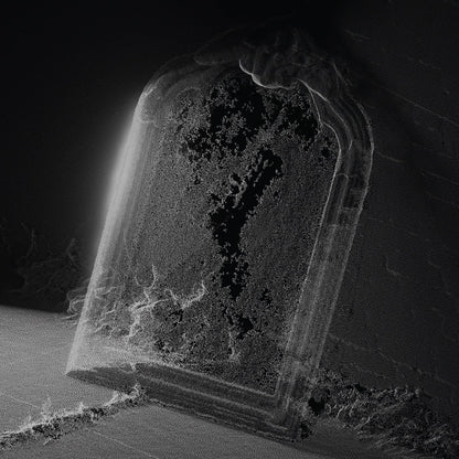 Visible Cloaks — Paradessence [LP] — product image