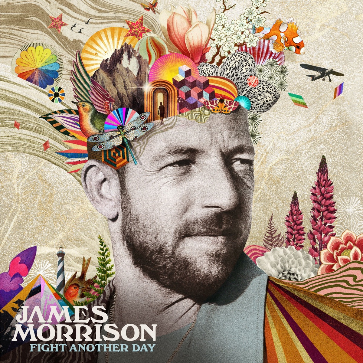 James Morrison - Fight Another Day [CD]