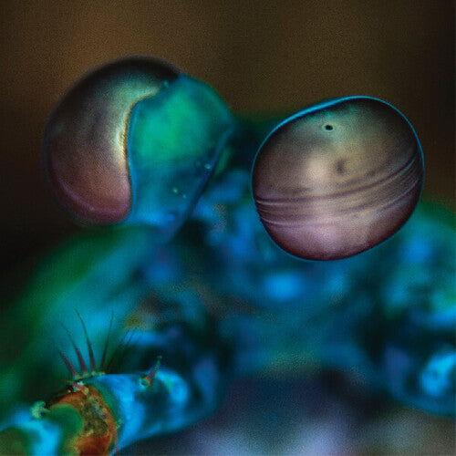 Amasia: Anamibia Sessions 2 [LP] (Crystal Clear Vinyl Design By Hausmo Max)