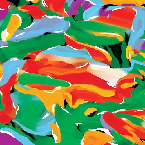 Birds Of Paradise [LP]