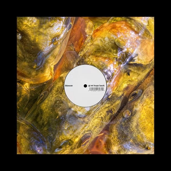 Gi Mi Keys Back [12"]
