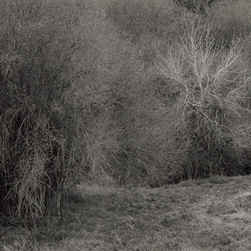 Atrophies For Piano [Vinyl]