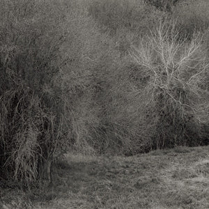 K. Leimer - Atrophies For Piano [Vinyl] - album cover