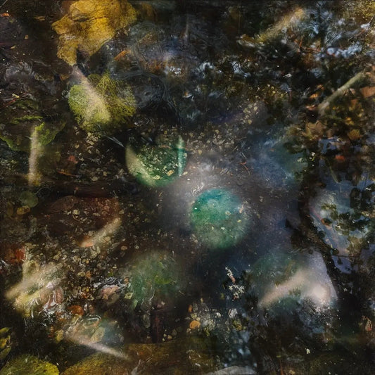 Host For All Kinds Of Life [LP]