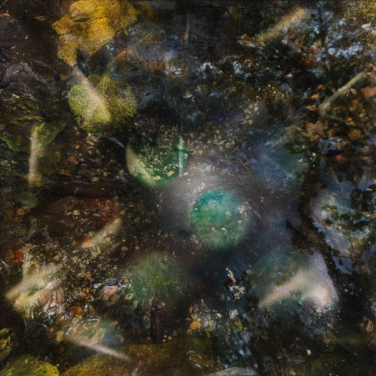 Host For All Kinds Of Life [Cassette]