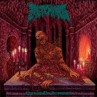 Charming The Decomposed [CD]