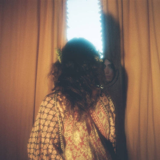 Beauty Looking Back [LP]