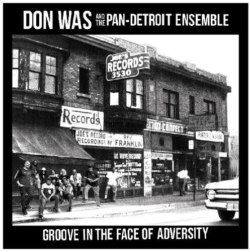 Groove In The Face Of Adversity [Vinyl]