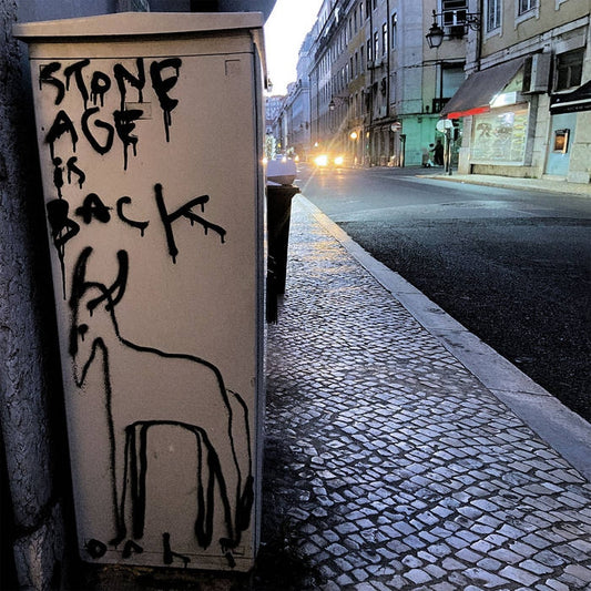 Stone Age Is Back [CD]