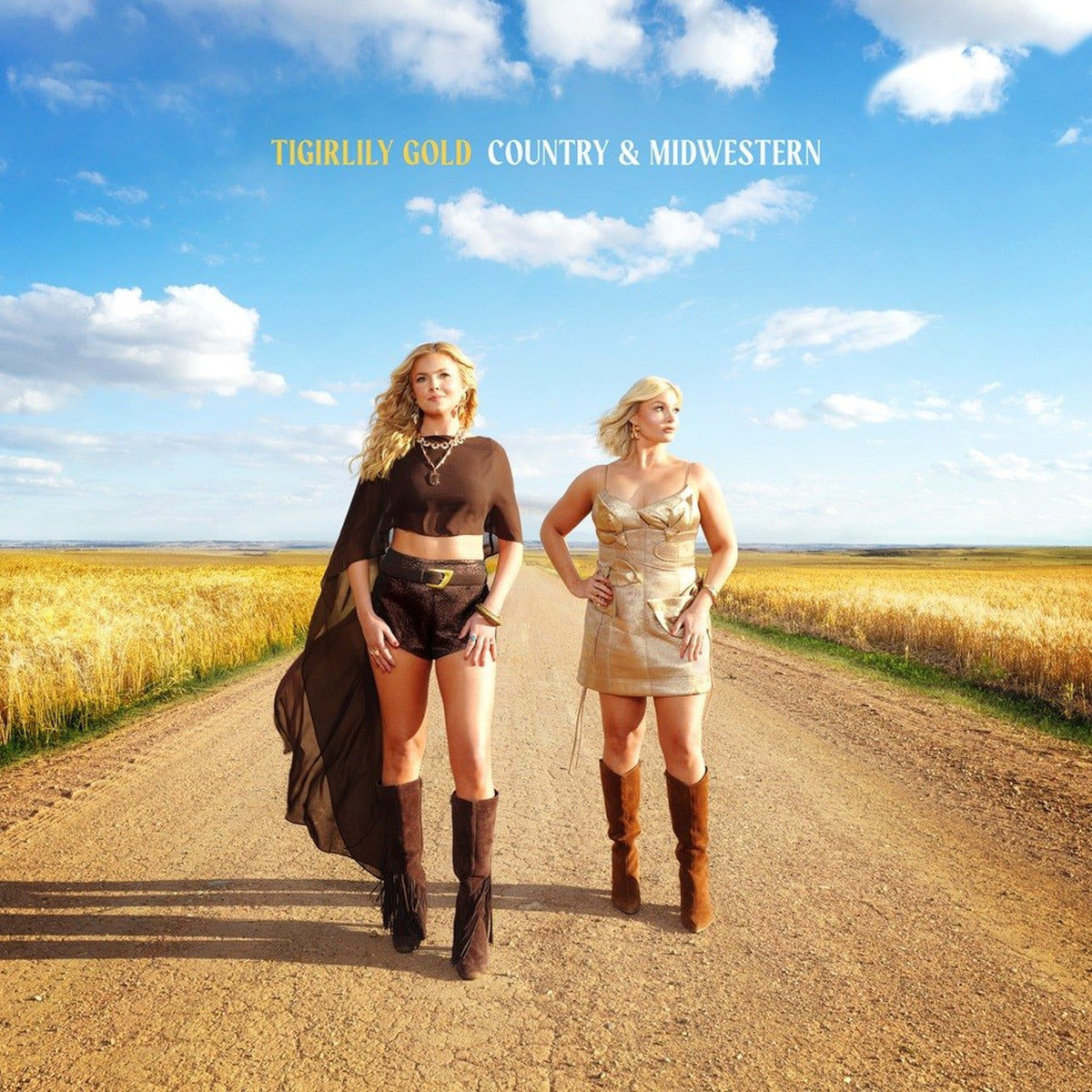Country & Midwestern [LP]