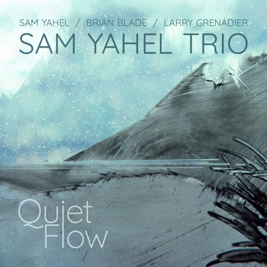 Quiet Flow [CD]