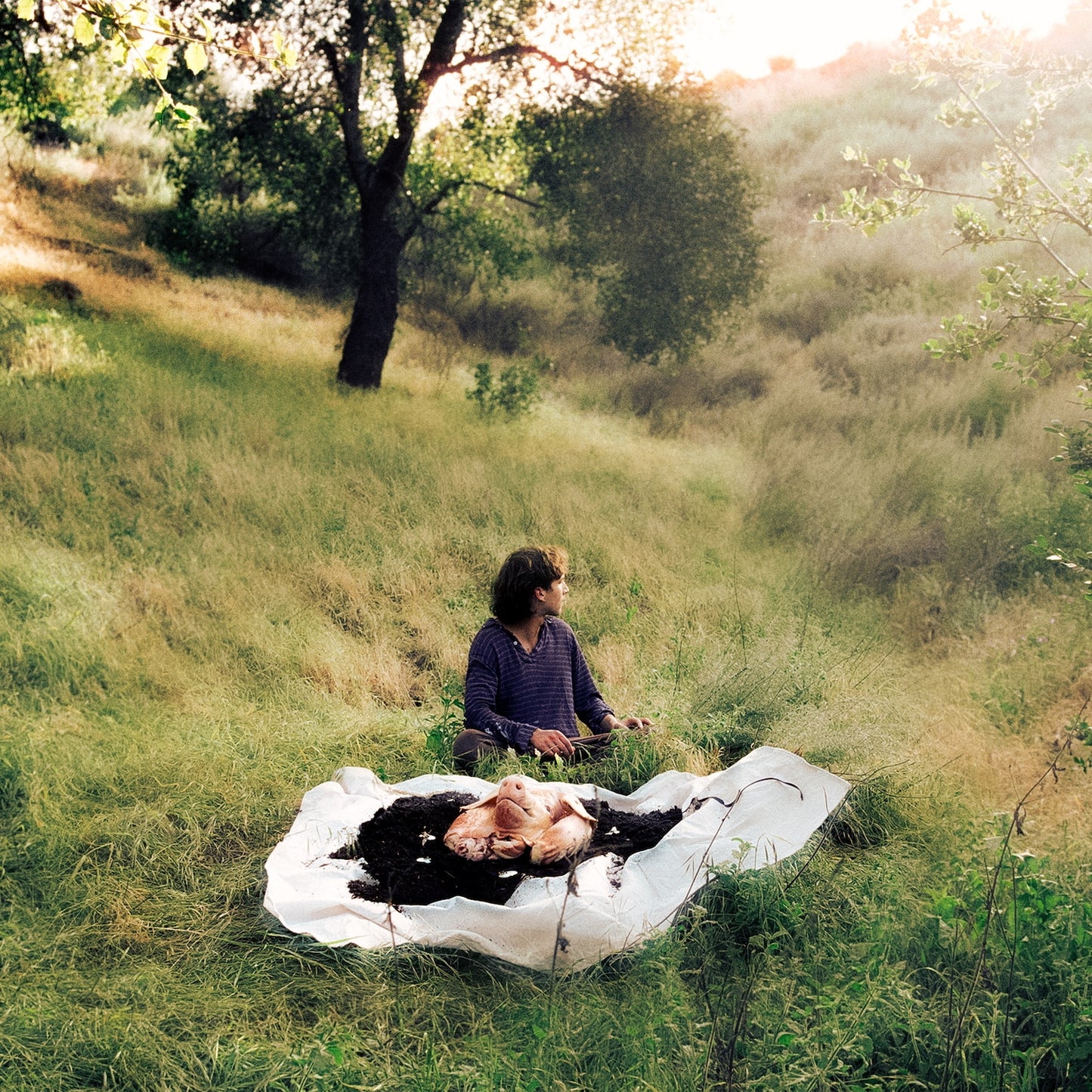 No Home [Vinyl LP]