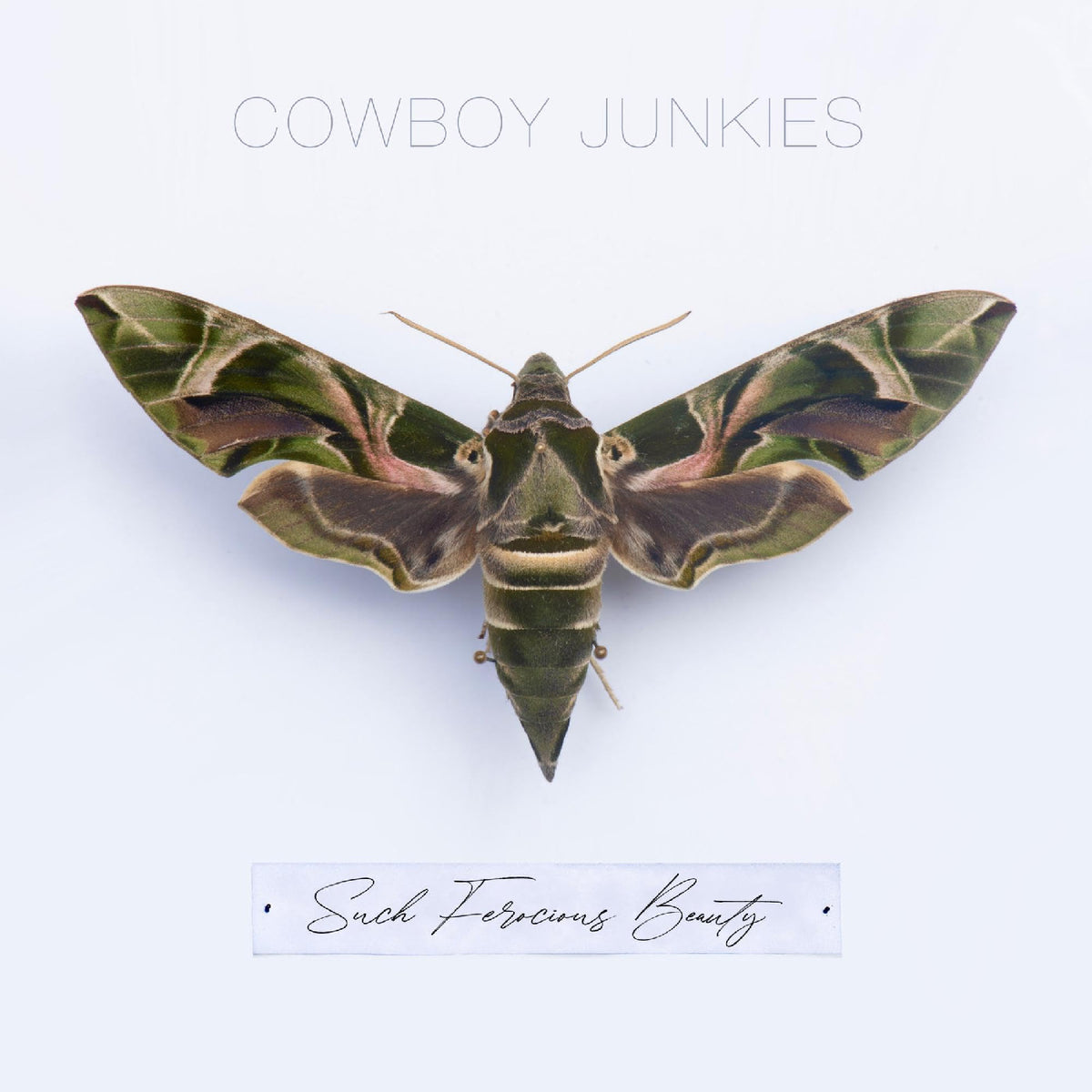 Cowboy Junkies - Such Ferocious Beauty [Green Translucent]