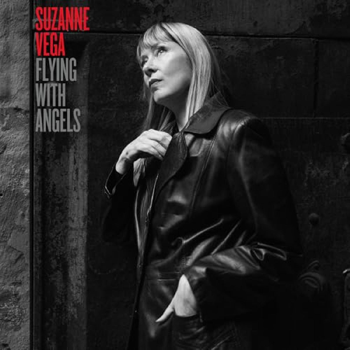 Suzanne Vega - Flying With Angels [Grey]