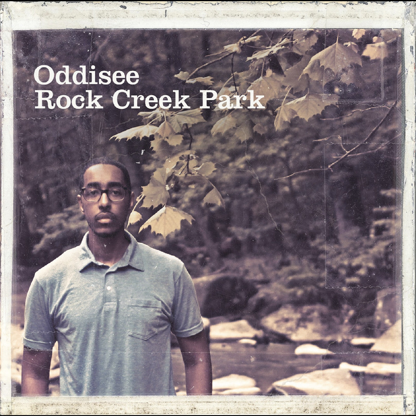 Rock Creek Park [Gold Forest Gold Vinyl]