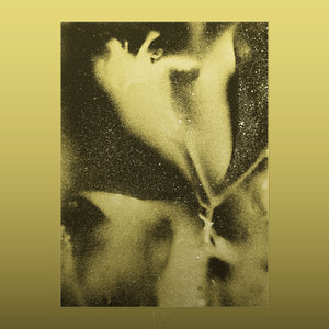 Flying Lotus - 1983 [Vinyl Iridescent Gold Metallic Sleeve]