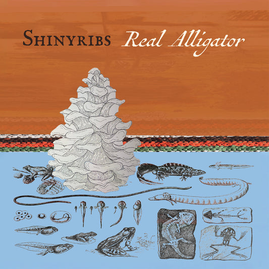 Real Alligator CD
