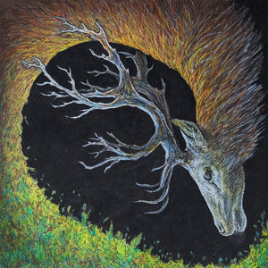 Petrels - Infangthief CD product image