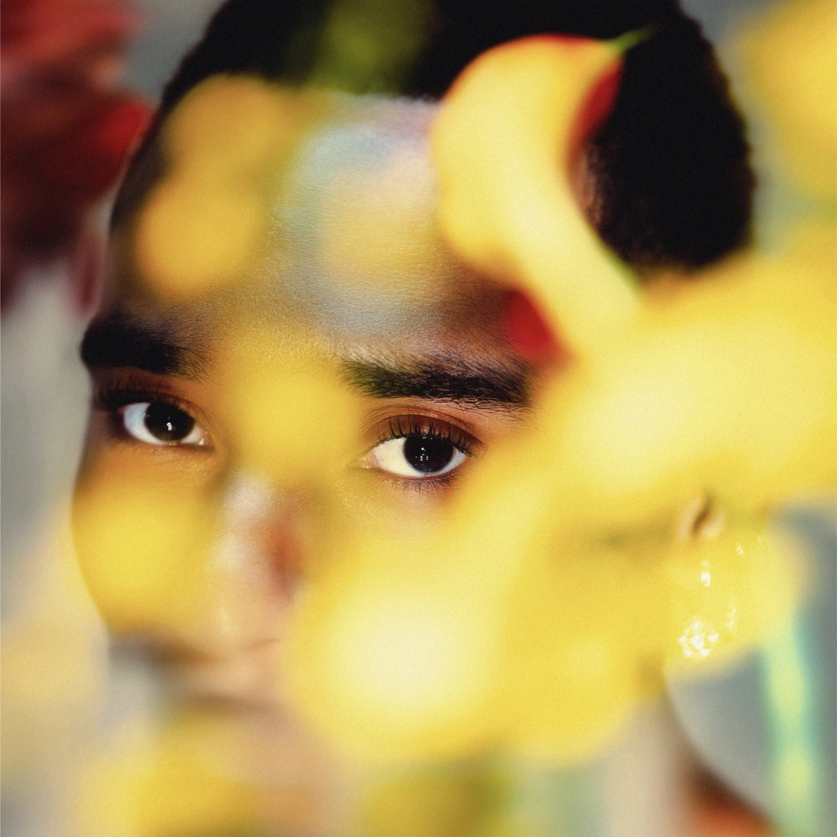 Bloom 2LP