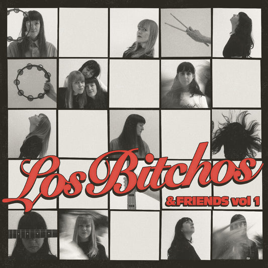 Los Bitchos and Friends Vol 1 CD