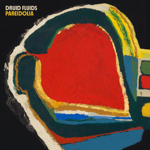 Druid Fluids - Pareidolia vinyl product image