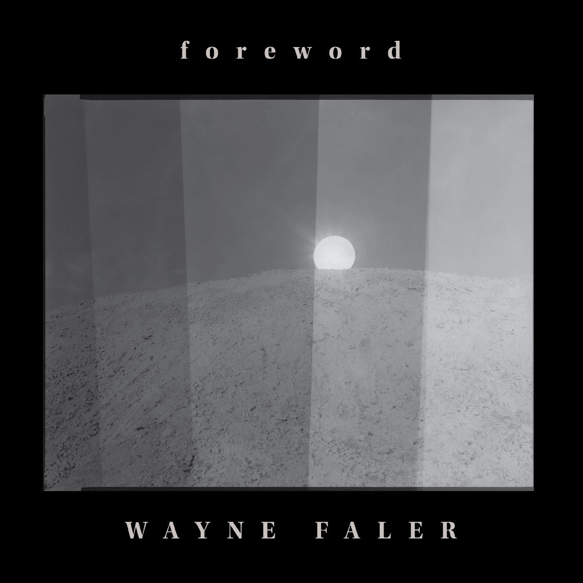 Wayne Faler Foreword Silver Vinyl (Indie Exclusive)