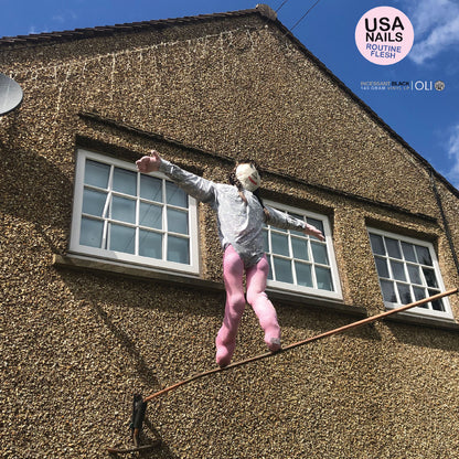 Routine Flesh [Vinyl]
