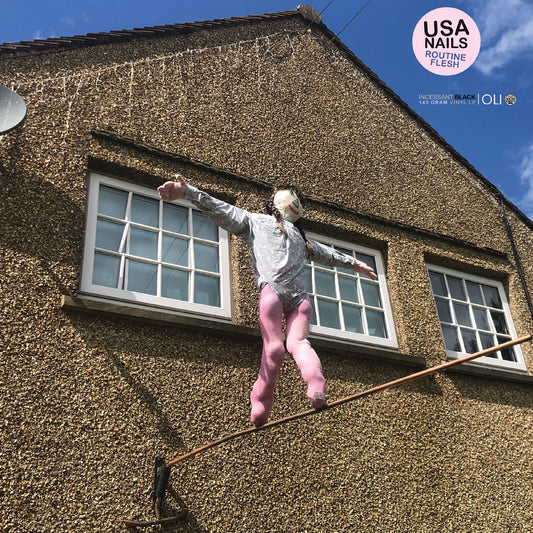 Routine Flesh [Vinyl]