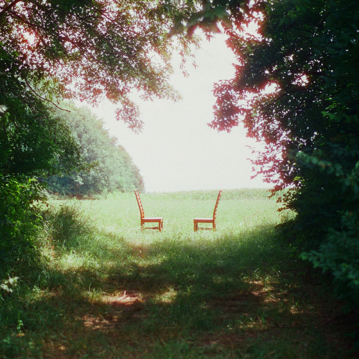 Singin' to an Empty Chair [Pink Cassette]