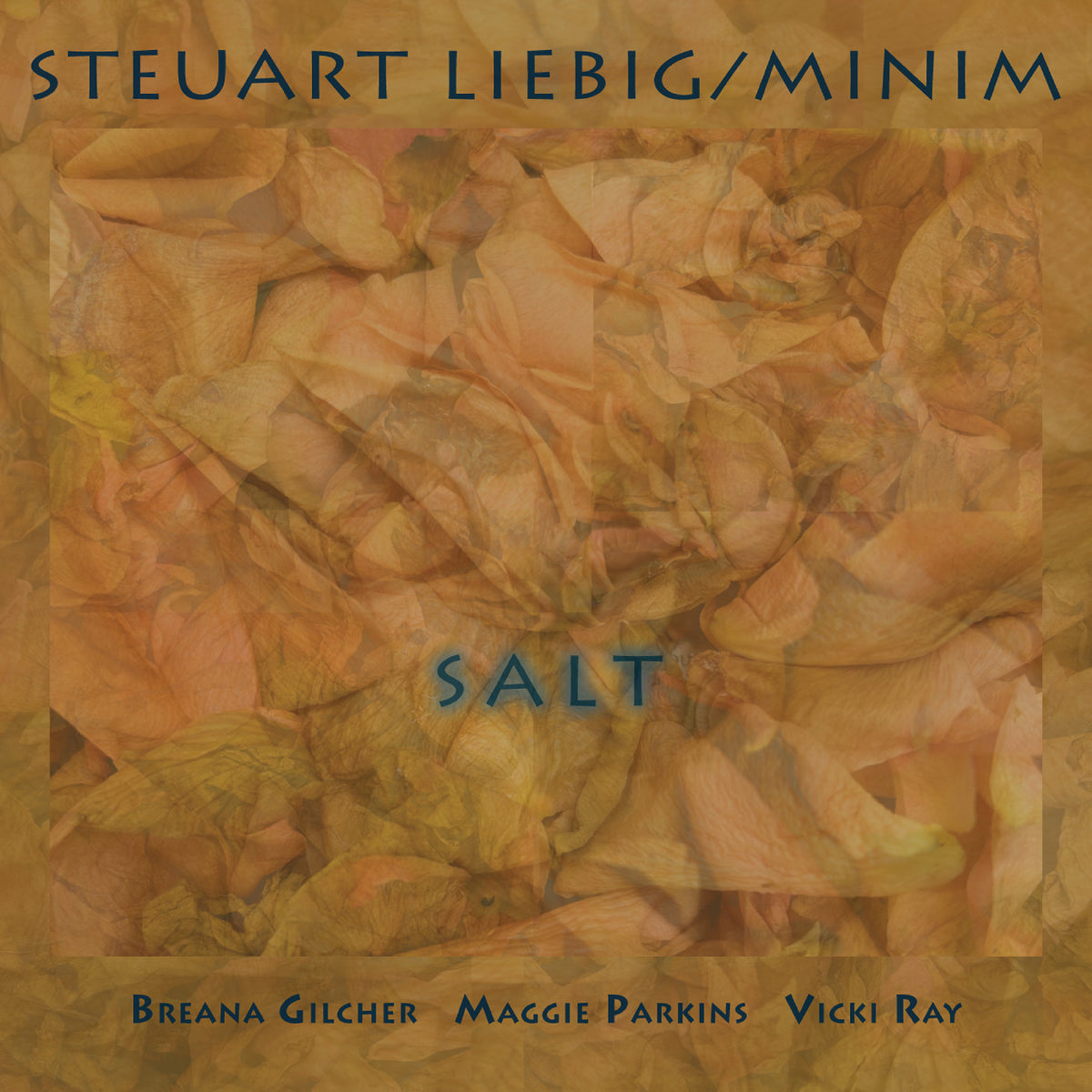 Steuart Liebig/Minim - Salt [CD]