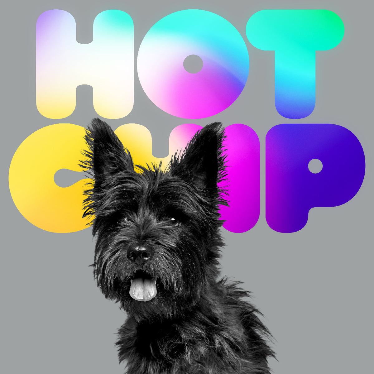 Hot Chip - A Long Way From Kansas [2LP]